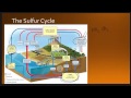 Sulfur's Role in Ecosystems