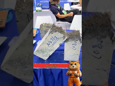 นี่คือ คอนกรีตที่แข็งแรงที่สุดในโลก