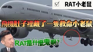 硬核科普｜飛機沒油沒電..全靠這隻「小老鼠」救命