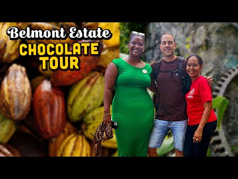 For the CHOCOLATE Lovers! Belmont Estate, Grenada 🇬🇩