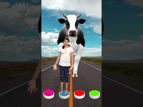 I jump on button to Cat, dog, cow & elephant - Funny vfx new magic
