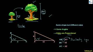 Similarity and Scale Drawings