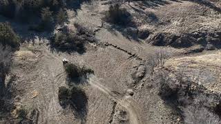 Pasture Cedar Clearing: Complete Project Overview