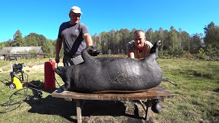 видео