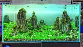 Aquascapes Videos Kansas City Comic Con