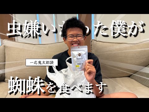 【昆虫食】２年前に虫が苦手で大泣きしてたあのお兄ちゃんが強くなりました。蜘蛛を食べます【おやつ】