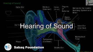 Hearing of Sound