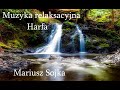 Video Section Focus and Content