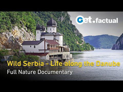 YouTube video thumbnail: Wild Serbia Life Along the Danube