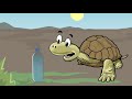 Desert Tortoise Knowledge Assessment