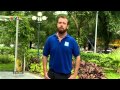 Tristan's Experiences in Vietnam