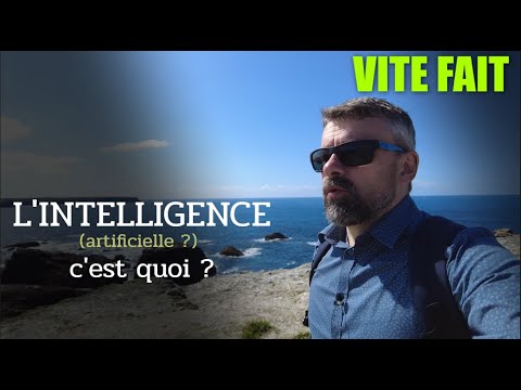 L'intelligence (artificielle) en question [Vite Fait]