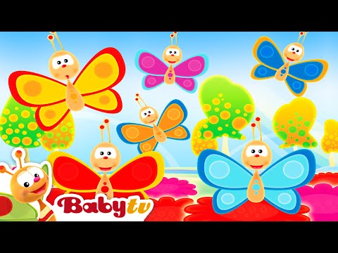 Motylki 🦋🦋 | Ponadczasowe klasyki | Piosenki i rymowanki dla dzieci 🎵 @BabyTVPL