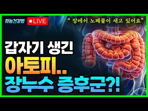 장에 구멍이 났어요! 장누수증후군 증상과 해결법 (아토피 vs 장누수 증후군 구분법!)