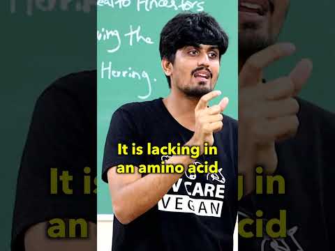 Where Is The Protein In Vegan Food? #vegan #protein #viralvideo #viral #truth #science #logic