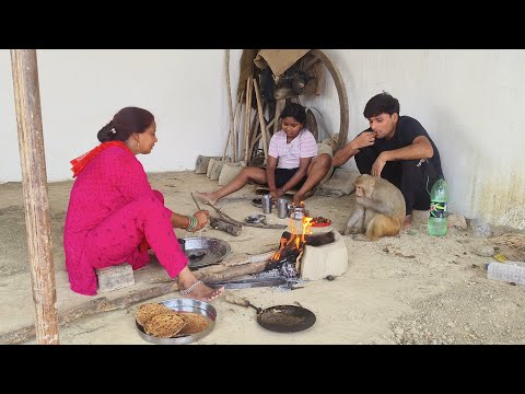 Monkey rani Didi chulha me roti banati hai ।। Monkey Rani Akash Chulha ki roti khatehai ।।