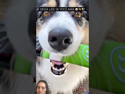 Deixa like se você ama os animais #pets #animals #shortsvideo #curiosidades #responda #memes #react