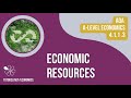 Economic Resources and Capital Investment