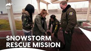 Dog Rescue in Crisis | Pit Bulls & Parolees S1 Ep3 | Animal Planet