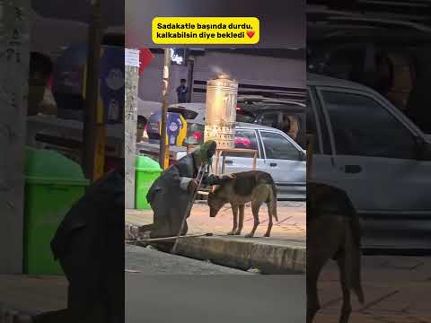 İnsan yere düştü. Sadakat ise yanında dimdik durdu 🤍