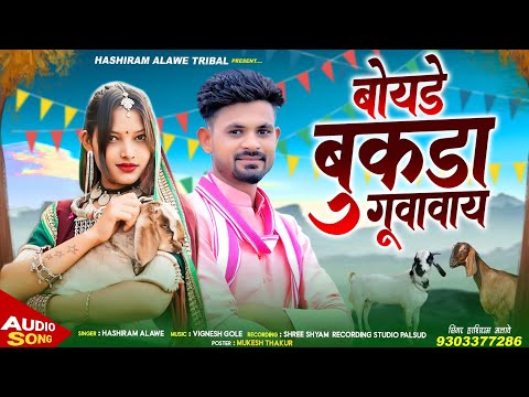 बोयडे बुकड़ा गुवावाई | Barsat song | Singer Hashiram Alawe | New Adivasi song