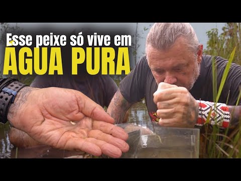 O PEIXE MAIS RARO DO BRASIL ESTÁ ESCONDIDO AQUI! 😱