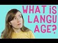 Understanding Language and Communication