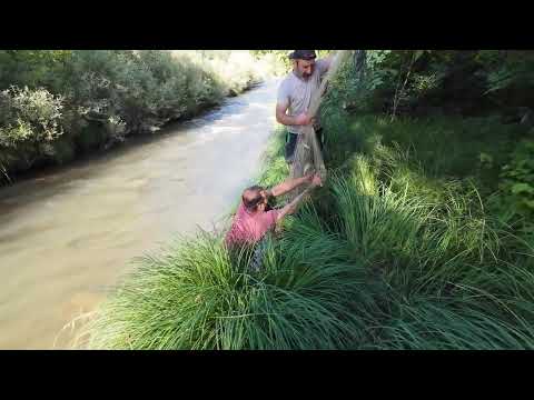 fishing in green creek