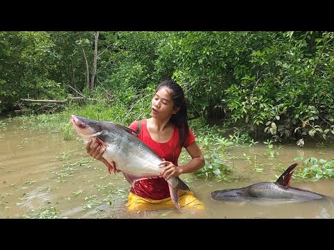 Found a Big fish in the lake, Big fish cooking tasty So eating delicious