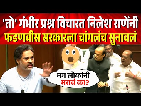 विधानसभेत 'तो' गंभीर प्रश्न विचारत नीलेश राणेंनी सरकारला चांगलंच सुनावलं! Nilesh Rane in Vidhansabha