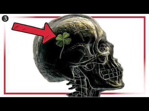 Şanslı Olmadan Zengin Olmak İstiyorsan Bu Videoyu İzlemelisin!