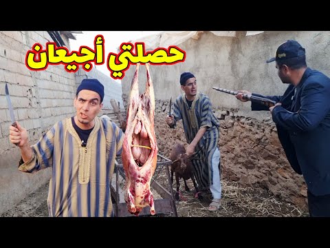 ملي كيحصلك لمقدم باغي تعيد وتخالف القرار الملكي🐏🐑🐏 🤣🤣🤣