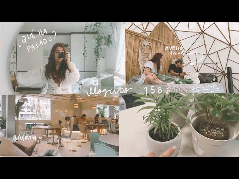 días en la cafetería + nuestro aniversario | vlog 158