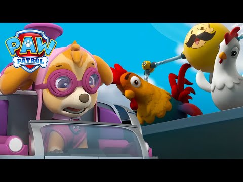 Skye e Zuma resgatam Chickaletta e Roosterio! - Patrulha Pata PAW Patrol Episódio Português