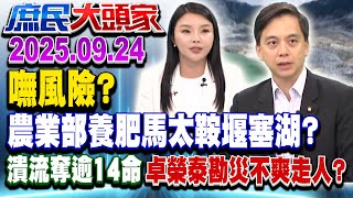 堰塞湖潰堤14死 青鳥跳針藍白砍預算 昔農業高官喊：嘸危險《庶民大頭家》完整版 20250924 #賴士葆 #牛煦庭 #張嘉郡 #張啓楷 #單厚之@chinatvnews​