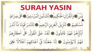 Surah Yasin (Yaseen) - Full With Arabic Text