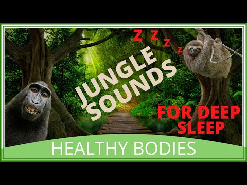 Jungle Sounds For Deep Sleep