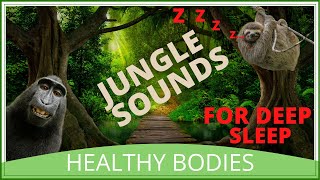 Jungle Sounds For Deep Sleep