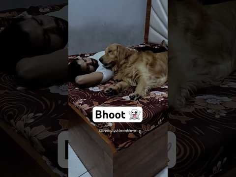 PeaNut chased away the ghost #shorts