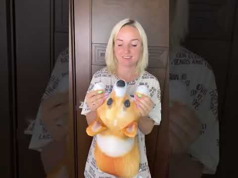 Корги лучше таксы!✌️хочешь такую же? Артикул на вайлдбериз 116136138 или https://yobo.toys/select/