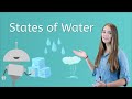 States and Transitions of Water