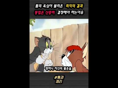 톰의 욕심이 불러온 최악의 결과 동업은 신중히 결정해야 하는이유 #톰과제리