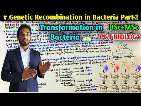 Transformation in Bacteria || Genetic Recombination in Bacteria || Griffith experiment || BSc ||MSc