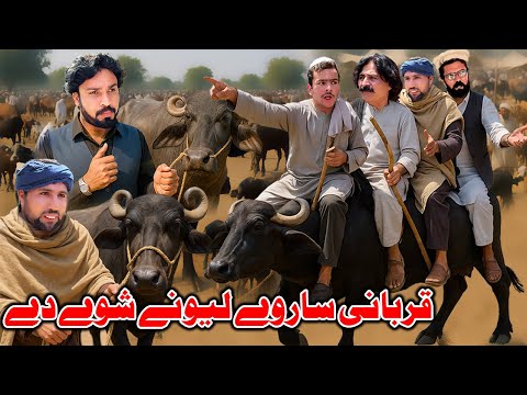Qurbani Sarwe Lewani Shawe De New Comedy Video By Khyber Vine