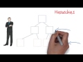 Organizational Structures and Their Impacts