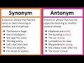 Synonyms and Antonyms Practice