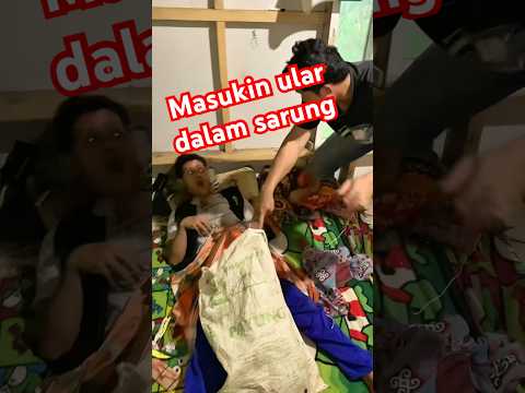 Ular dalam sarung #davidsunairi #comedy #tipeketawa #funny #viralvideo #lucu #ngakak #memes #short
