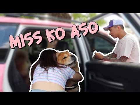 MISS KO ASO