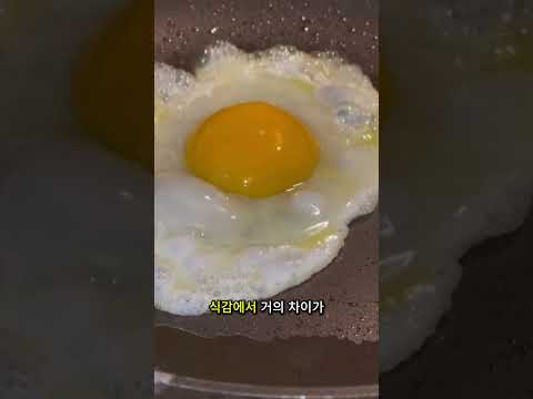 요즘 당신이 먹는 계란은 진짜 계란이 아니었을지도 몰라요