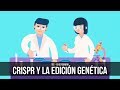 Cuestionario sobre Modificaciones Genéticas